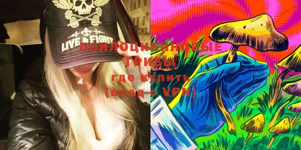 мяу мяу мука Вязьма