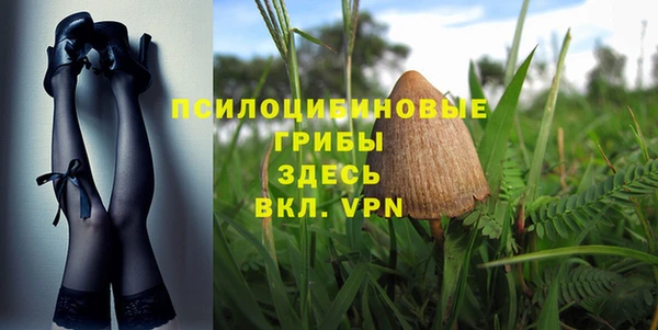спайс Горно-Алтайск