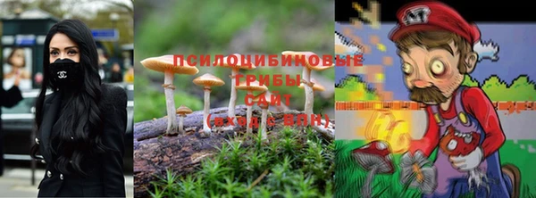 MDMA Premium VHQ Горнозаводск