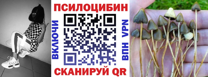 Псилоцибиновые грибы мицелий  Демидов 