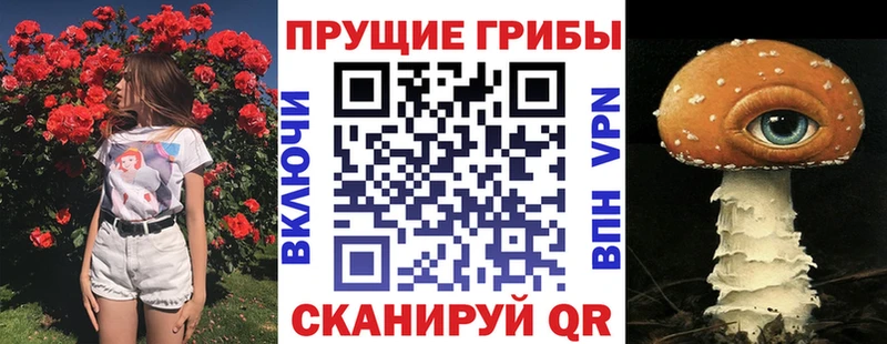 Псилоцибиновые грибы прущие грибы Демидов